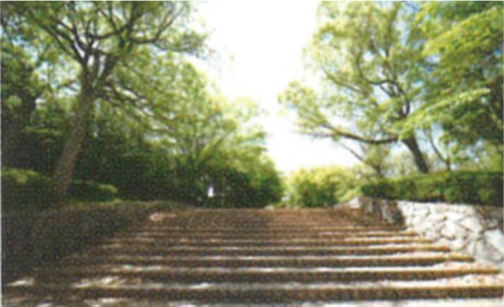 金剛東中央公園（物件正面）