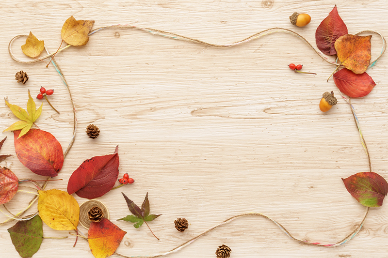 キタバ企業PRサイト